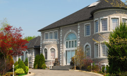 Etiam dictum egestas